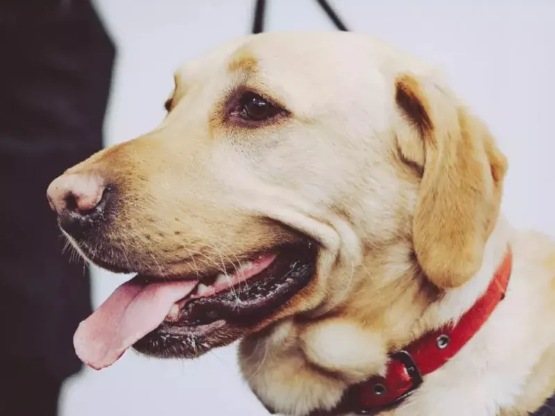 Policing and justice