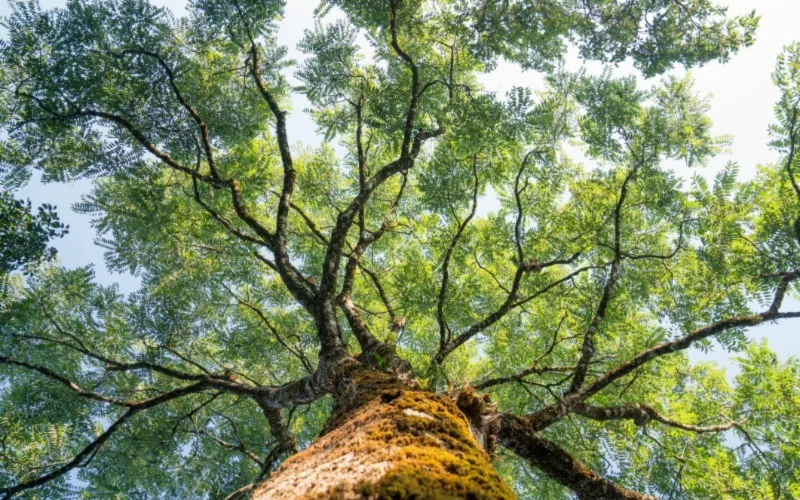 Environmental, social & governance (ESG)